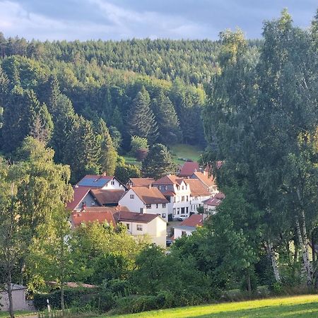 Superior - Ferienhaus Am Engelsbach Im Thueringer Wald Экстерьер фото