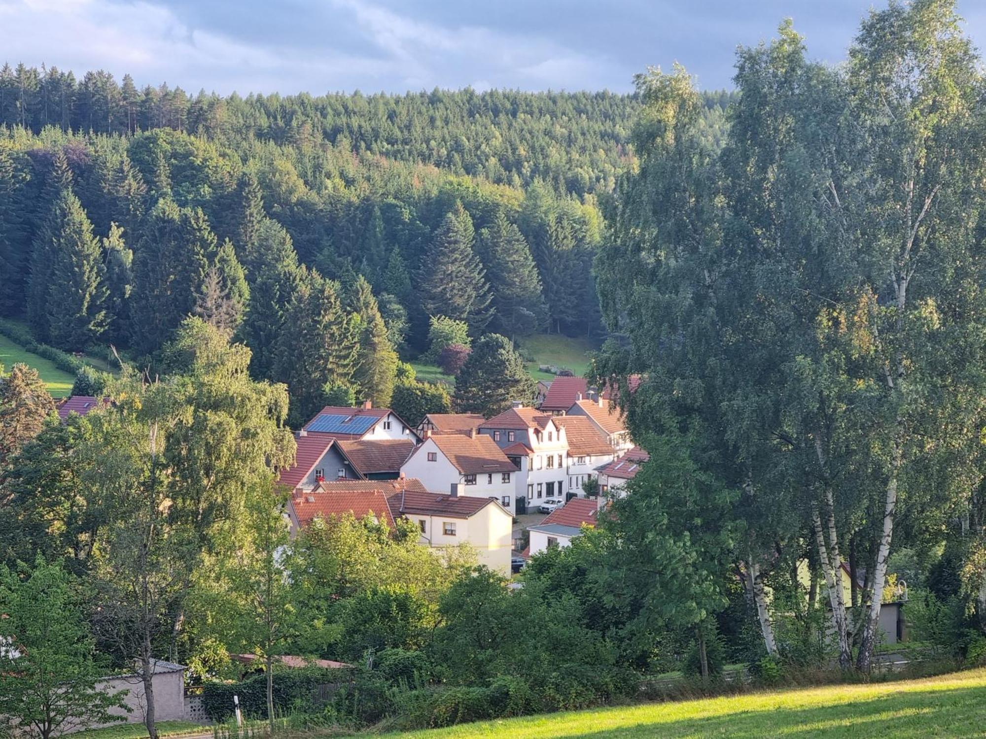 Superior - Ferienhaus Am Engelsbach Im Thueringer Wald Экстерьер фото